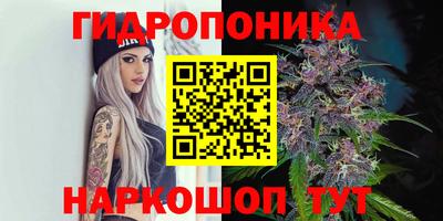 ешки Гатчина